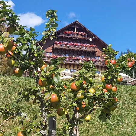 Alpska Vyhlidka Hotel